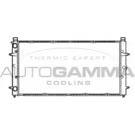 Радиатор охлаждения двигателя AUTOGAMMA 4SW 6F Volkswagen Transporter (T4) 4 Автобус 2.5 110 л.с. 1990 – 2003 G1M9AVR 101414