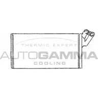 Радиатор печки, теплообменник AUTOGAMMA AEJN9 3849118 48 GGZT 101681