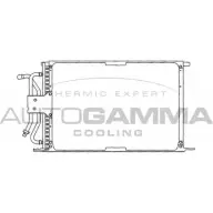 Радиатор кондиционера AUTOGAMMA Ford Fiesta 4 (DX, JA, JB) Хэтчбек 1.6 88 л.с. 2000 – 2002 XMFR WS9 4P2N9 101694