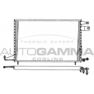 Радиатор кондиционера AUTOGAMMA WSPYLBN 101718 3849150 N 25FBYV