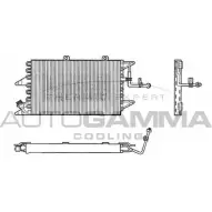 Радиатор кондиционера AUTOGAMMA 101742 W3XST 33CBIA W 3849174