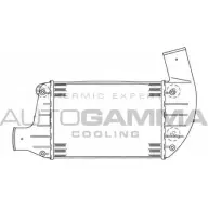 Интеркулер AUTOGAMMA 101853 3849275 ECAQ7 71PL DB2