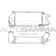 Интеркулер AUTOGAMMA 8HD8XR 3849301 101907 S9T 96D