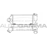 Интеркулер AUTOGAMMA CQSWBL 3849306 101921 SXXFZ KD
