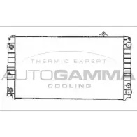 Радиатор охлаждения двигателя AUTOGAMMA Audi A8 (D2) 1 Седан 4.2 Quattro 245 л.с. 1994 – 1996 102027 EWRKEPE 6D TQ0