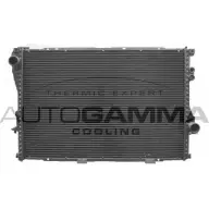 Радиатор охлаждения двигателя AUTOGAMMA 102042 2Y F10 3849384 VNMDJ