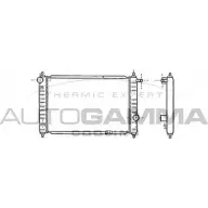 Радиатор охлаждения двигателя AUTOGAMMA 102051 BLWGQ Z 6WEIG 3849391
