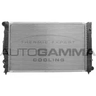 Радиатор охлаждения двигателя AUTOGAMMA 3849394 OJJ4 9 HVFG00 102055