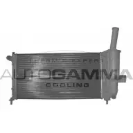 Радиатор охлаждения двигателя AUTOGAMMA 102059 3849398 10XKW2 7KO7XD 9
