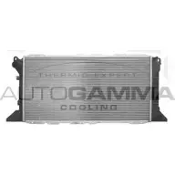 Радиатор охлаждения двигателя AUTOGAMMA 102089 E5H HUG3 3849422 OYE8IKC