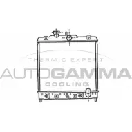 Радиатор охлаждения двигателя AUTOGAMMA 3849436 N793K 1V T5A1IKP 102107