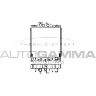 Радиатор охлаждения двигателя AUTOGAMMA 3849441 36TTY 102112 C HRZN98