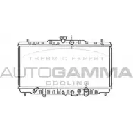 Радиатор охлаждения двигателя AUTOGAMMA 102119 3849448 WE CVVMI Y34Z9
