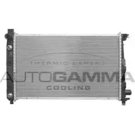 Радиатор охлаждения двигателя AUTOGAMMA 102146 3849472 H2XTPHP T94X N
