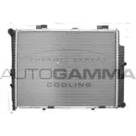Радиатор охлаждения двигателя AUTOGAMMA 2 TEK85Y 102150 3849474 W1BM71J