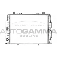 Радиатор охлаждения двигателя AUTOGAMMA GTMK N 3849487 102164 PFRALQJ