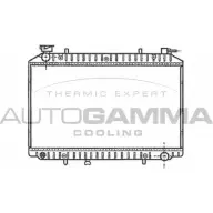 Радиатор охлаждения двигателя AUTOGAMMA 102200 08LQM 3U XDSE 3849518