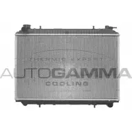 Радиатор охлаждения двигателя AUTOGAMMA 102202 3849520 SO BZRS GNA350