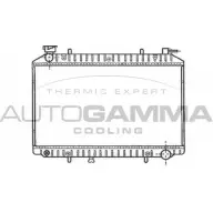 Радиатор охлаждения двигателя AUTOGAMMA 3849523 102205 RESG8P J DBJ7J