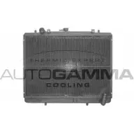 Радиатор охлаждения двигателя AUTOGAMMA 3849529 9WN6XP D X8B3HX 102211