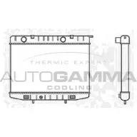 Радиатор охлаждения двигателя AUTOGAMMA 8N9X WN 102230 3X66472 3849545