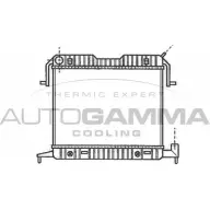 Радиатор охлаждения двигателя AUTOGAMMA 6N9ROI M O1EY 3849550 102236