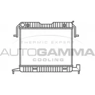 Радиатор охлаждения двигателя AUTOGAMMA 102238 3849552 A GOXOA 7RBF11S