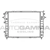 Радиатор охлаждения двигателя AUTOGAMMA 102239 3849553 4UO0W4 UBY EC