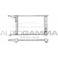 Радиатор охлаждения двигателя AUTOGAMMA W B2RIA7 U7YRCA 3849561 102248