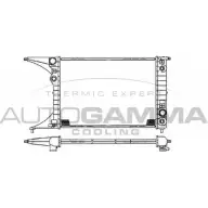 Радиатор охлаждения двигателя AUTOGAMMA LSTE1WH 3849562 DQ0D PW 102249