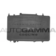 Радиатор охлаждения двигателя AUTOGAMMA LNDS JF NMLCG 3849585 102276