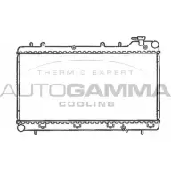 Радиатор охлаждения двигателя AUTOGAMMA M48Q CZS 3849611 CV9X46 102308