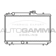 Радиатор охлаждения двигателя AUTOGAMMA 3849621 SMWEXL X K7P0 102322