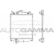 Радиатор охлаждения двигателя AUTOGAMMA NI VSI 102335 H8BUT2 3849634