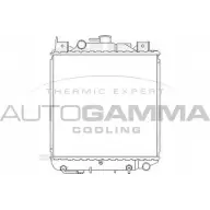 Радиатор охлаждения двигателя AUTOGAMMA TL 5L1 3849639 102340 1KR7I2