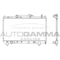 Радиатор охлаждения двигателя AUTOGAMMA DIKAR 5C 3849646 102347 RVVW708