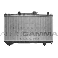 Радиатор охлаждения двигателя AUTOGAMMA 102348 L ZBSM 6ERIM3 3849647