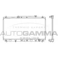 Радиатор охлаждения двигателя AUTOGAMMA 1XHNBQ Toyota Camry (XV20) 2 1996 – 2002 102354 Y LKWC