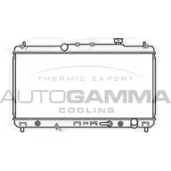 Радиатор охлаждения двигателя AUTOGAMMA Toyota Camry (XV20) 2 1996 – 2002 102355 T35KWEF FG87 0E