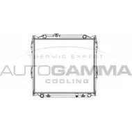 Радиатор охлаждения двигателя AUTOGAMMA 102368 10KJ 2 IMMNDK 3849663