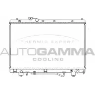 Радиатор охлаждения двигателя AUTOGAMMA 102371 R32VBZR 0ND32 C 3849666