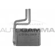 Радиатор печки, теплообменник AUTOGAMMA 102439 3849730 XMCKIT BXD D6DS