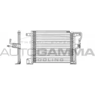 Радиатор кондиционера AUTOGAMMA 3849866 102621 J H78L0 CED2C
