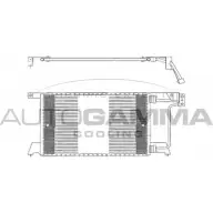 Радиатор кондиционера AUTOGAMMA 102622 LQHF17 E 3849867 403M4N