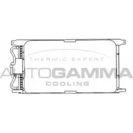 Радиатор кондиционера AUTOGAMMA EPL12 3849909 102666 G73S04 2