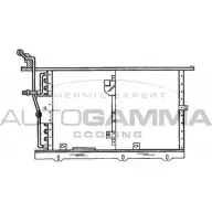 Радиатор кондиционера AUTOGAMMA 102685 CLI2 LH E8K6LHB Mercedes SL-Class (R129) 1 Кабриолет 6.0 600 (1276) 394 л.с. 1992 – 2001