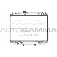 Радиатор охлаждения двигателя AUTOGAMMA 3HD75 WPR TC 3850148 102932