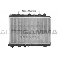 Радиатор охлаждения двигателя AUTOGAMMA 3850159 R2M SR 102945 XBRDZ6