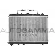 Радиатор охлаждения двигателя AUTOGAMMA 3850160 65DR3T 102946 V ELC5HI