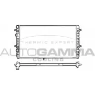 Радиатор охлаждения двигателя AUTOGAMMA 102953 OZ T96N ZKWWC 3850165